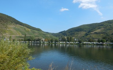 img-28