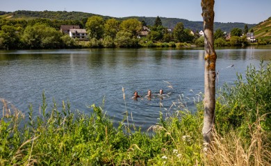 img-21