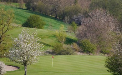img-9