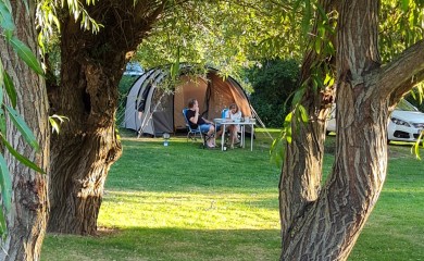 img-20